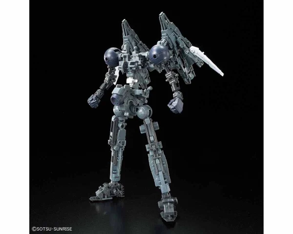 RG 1/144 TALLGEESE EW 5