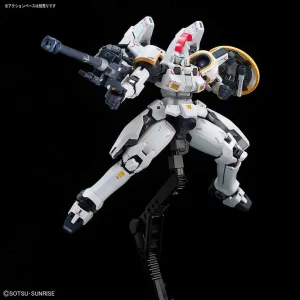 RG 1/144 TALLGEESE EW 17