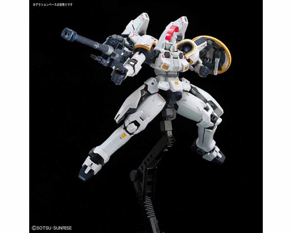RG 1/144 TALLGEESE EW 6