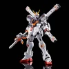 RG 1/144 CROSSBONE GUNDAM X1 [TITANIUM FINISH] 38