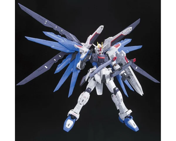 RG 1/144 FREEDOM GUNDAM 4