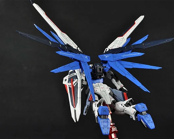 RG 1/144 FREEDOM GUNDAM 6