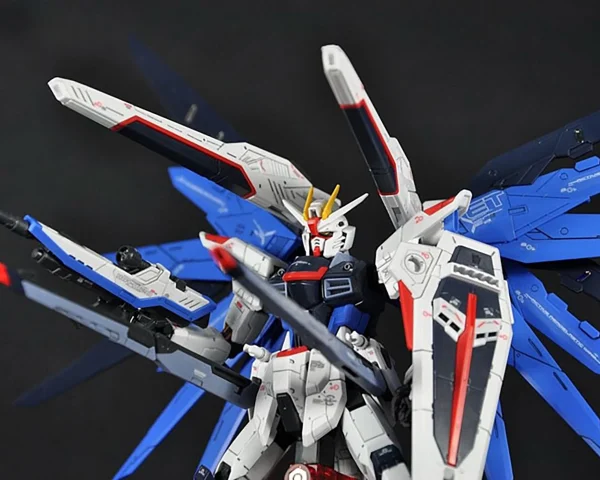 RG 1/144 FREEDOM GUNDAM 7