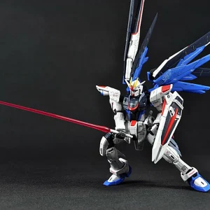 RG 1/144 FREEDOM GUNDAM 21