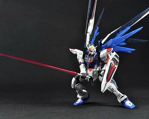 RG 1/144 FREEDOM GUNDAM 8